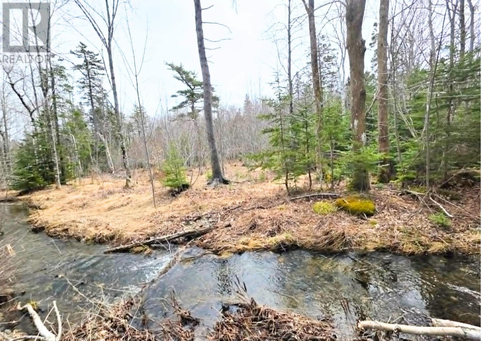 Land in Cape Breton 4