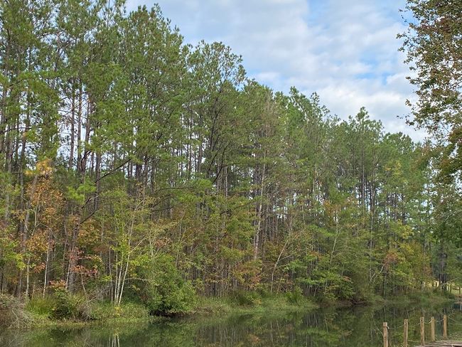 00 Rock Ranch Rd, Home with 0 bedrooms, 0 bathrooms and null parking in Picayune MS | Image 4