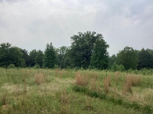 000 Hempstead 24, Blevins, AR, 71825 | Card Image