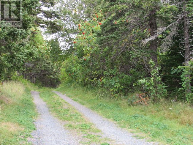 C - 54 C Point Rd, Home with 0 bedrooms, 0 bathrooms and null parking in Chapel Cove NL | Image 10
