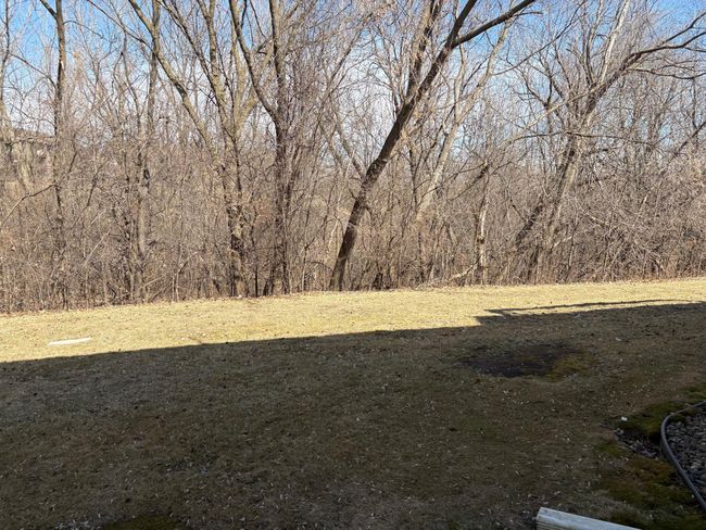 Wooded area next to unit | Image 15