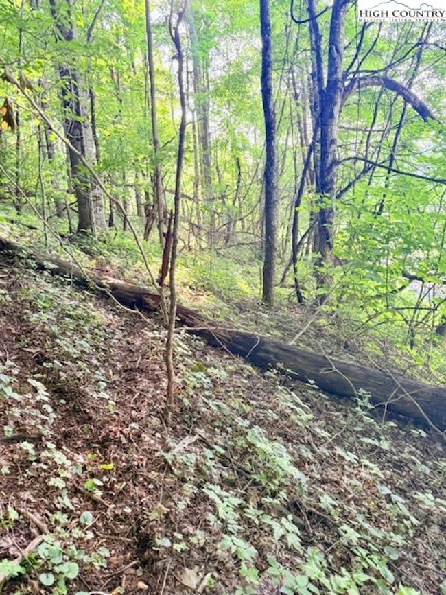 1 Oak Trail, Home with 0 bedrooms, 0 bathrooms and null parking in Creston NC | Image 9