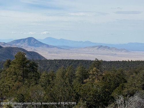 280 Indian Divide Rd, Capitan, NM, 88316-6004 | Card Image
