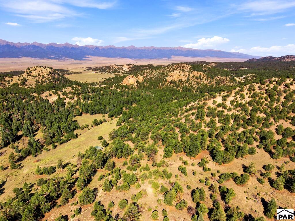 Residential in Westcliffe 4