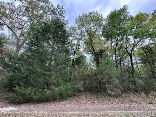 tbd Ne 154th Ave, WILLISTON, FL, 32696 | Card Image