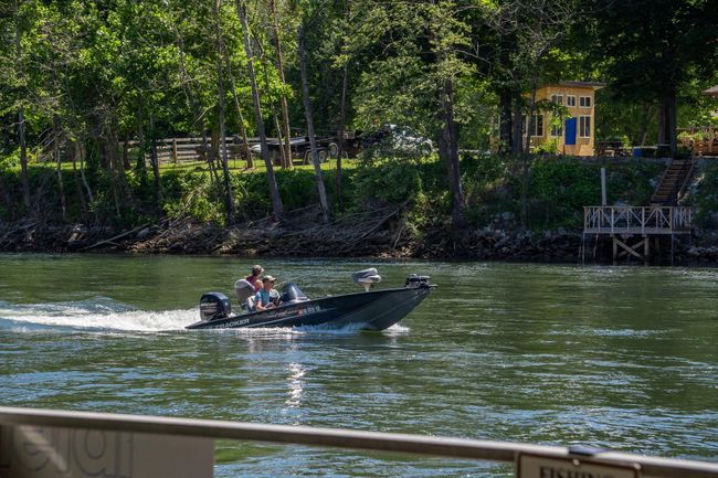 440 Fall Creek Drive #7 (74) | Image 78
