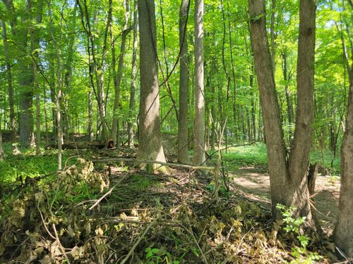 V/L Peterson Drive, Gobles, MI, 49055 | Card Image