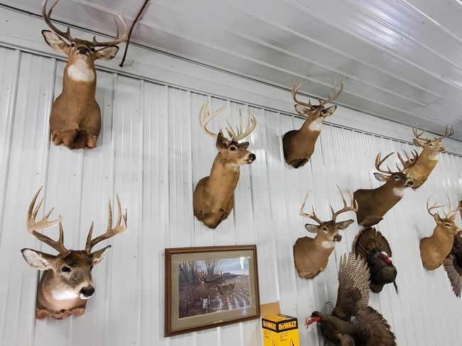 TBD 110 Th St Se, Home with 0 bedrooms, 0 bathrooms and null parking in Chatfield MN | Image 18