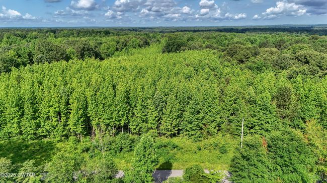 0 Ables Rd, Home with 0 bedrooms, 0 bathrooms and null parking in Cottage Grove TN | Image 8