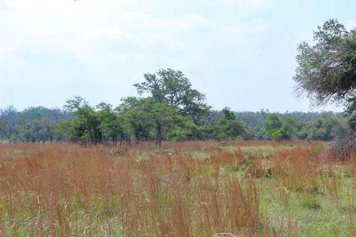 16-131 Lipan Loop Nw, Harper, TX, 78631-2114 | Card Image