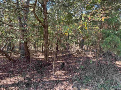 Lot 69 King Lake Dr, Scroggins, TX, 75480 | Card Image