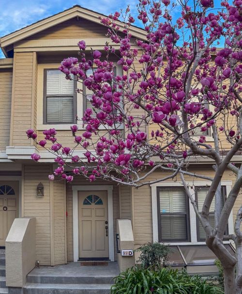d-991 La Mesa Ter, Sunnyvale, CA, 94086 | Card Image