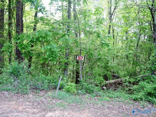 Lot 57 Oak Leaf Ct, Jasper, AL, 35504 | Card Image
