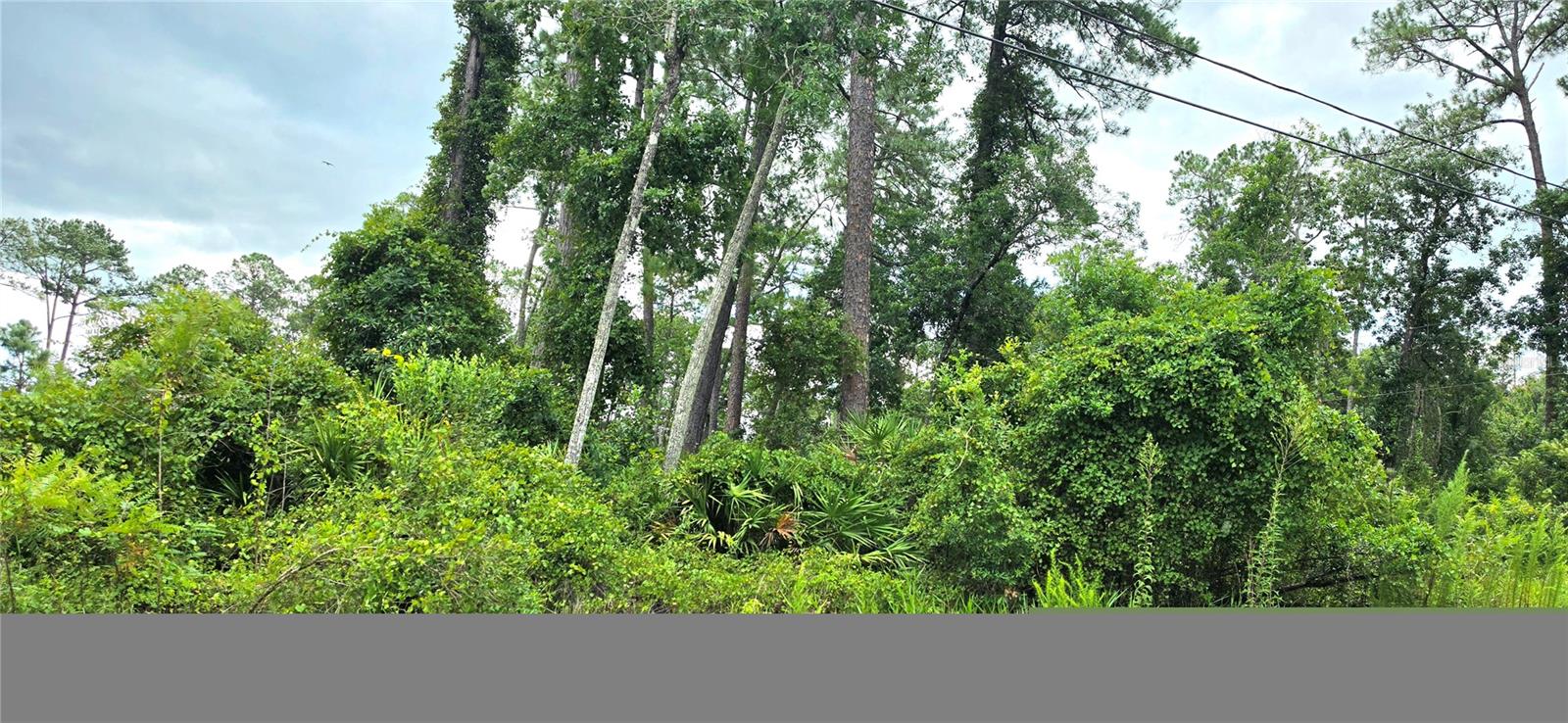 Land in DELAND 3
