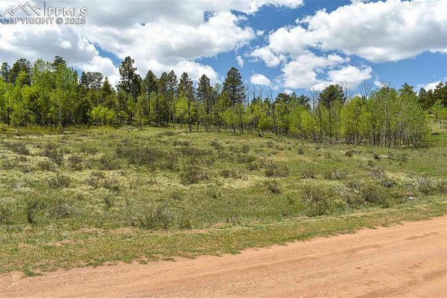 130 Eleven Mile State Park, Home with 0 bedrooms, 0 bathrooms and null parking in Lake George CO | Image 17