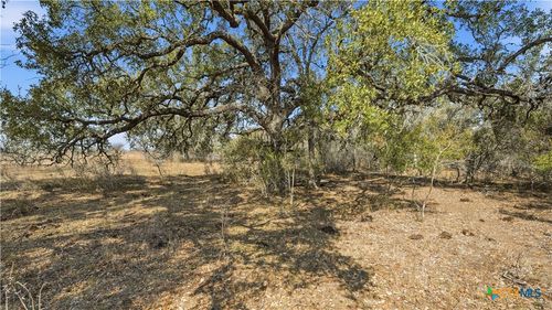 TBD Hohn Road, Nordheim, TX, 78141 | Card Image