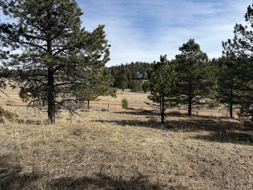 65 Haystack Ct, Livermore, CO, 80536-8658 | Card Image