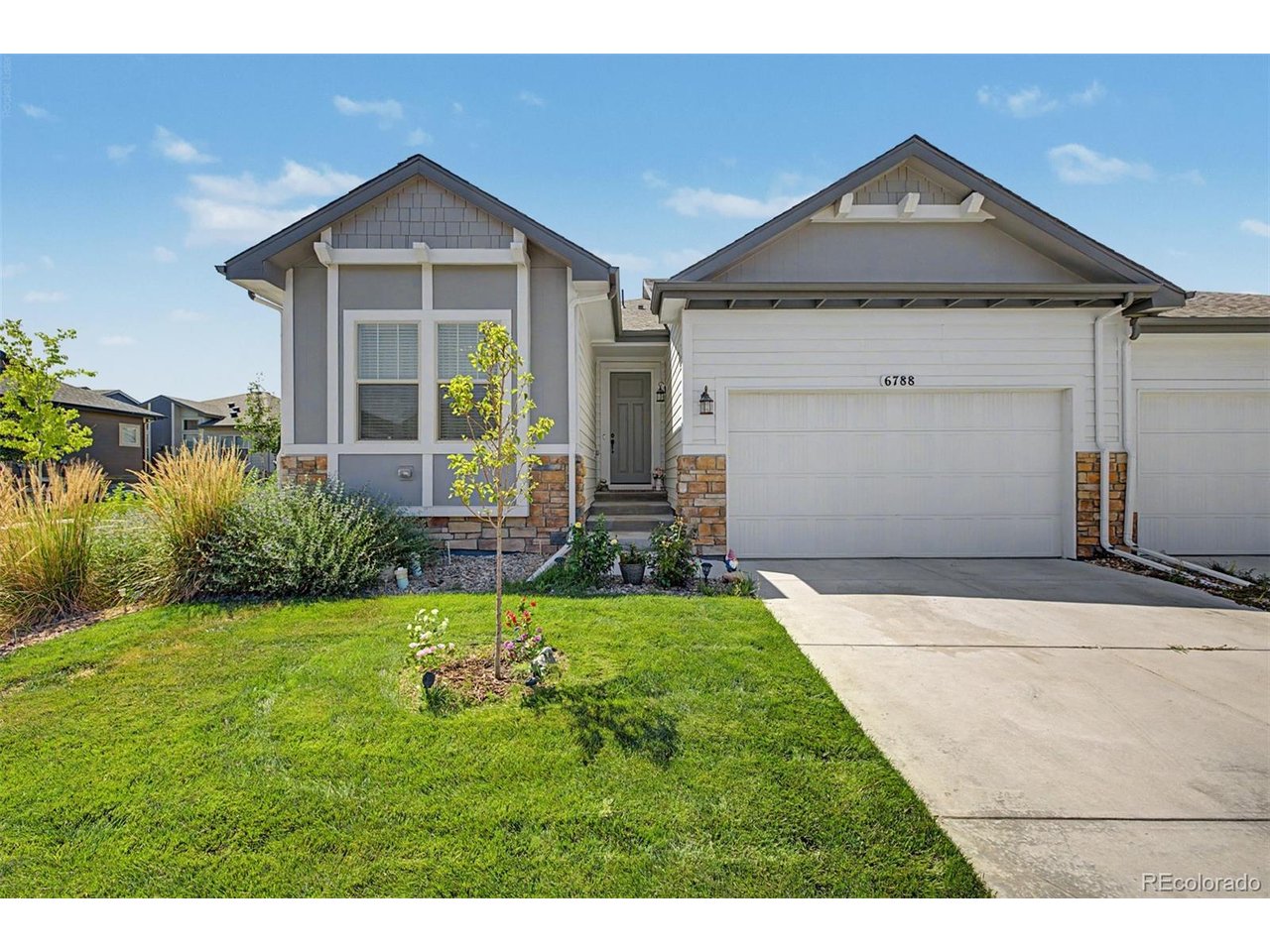 Residential in Parker 2
