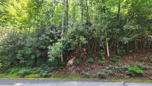 TBD Whisper Winds Ct, Sapphire, NC, 28774 | Card Image