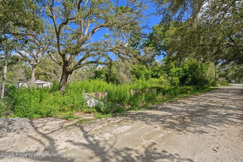 3241 Taffeta St, Ridge Manor, FL, 33523-8642 | Card Image