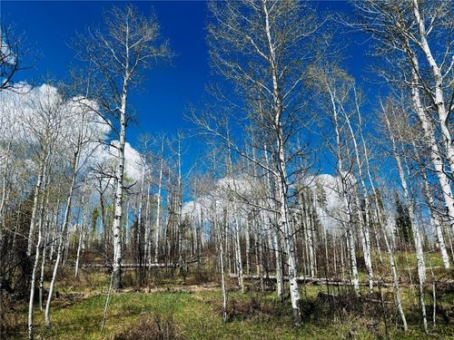 124 Wagon Wheel, Oak Creek, CO, 80467 | Card Image