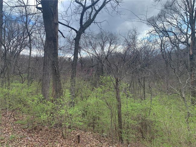Far edge of Property on top of slight hill overlooking mostly level 3 acre lot | Image 6