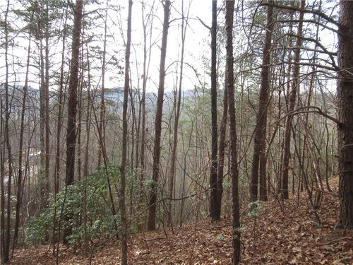 107 Lone Rock Ct, Pickens, SC, 29671-8312 | Card Image