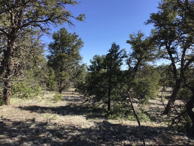 Lot 7 Red Fox Road, Home with 0 bedrooms, 0 bathrooms and null parking in Ramah NM | Image 29