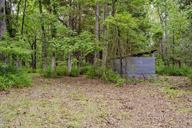 Level Land | Image 7