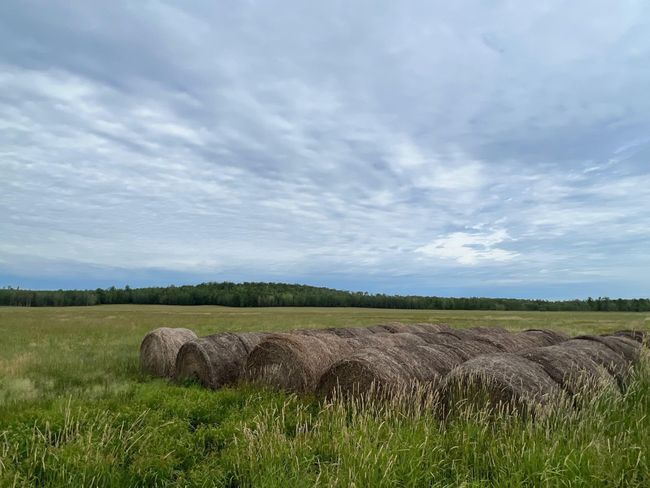 Income producing hay fields! | Image 9