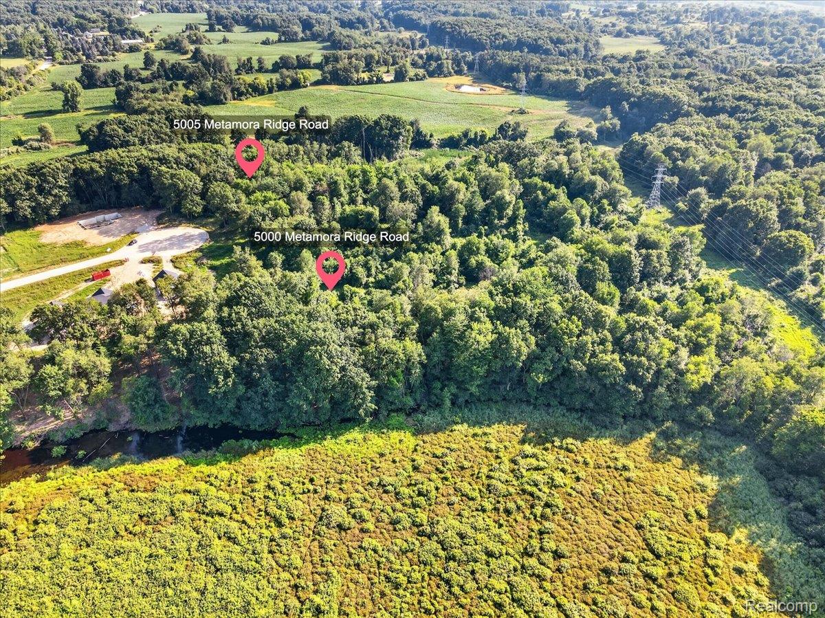 Residential in Metamora Township 4