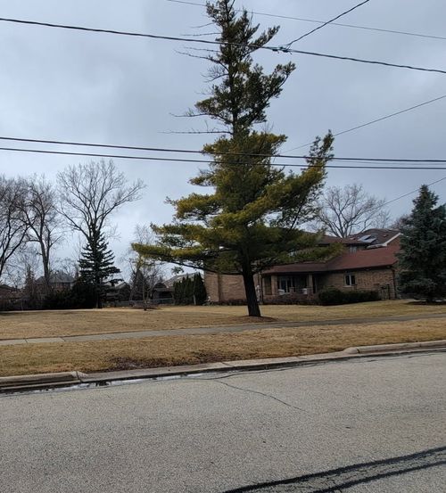 8619 W Park Ln, Niles, IL, 60714-1812 | Card Image