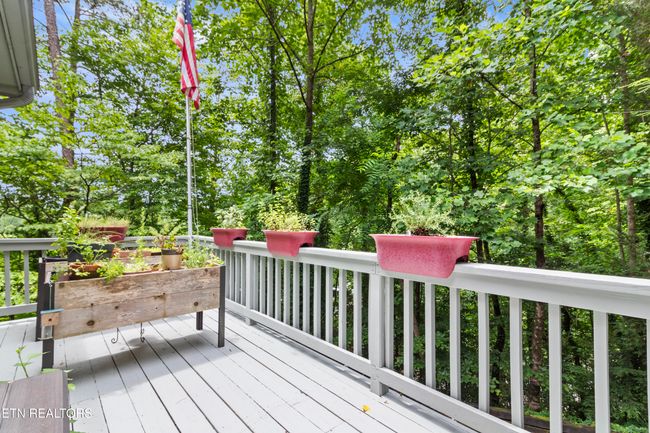 118 Mohawk Rd, House other with 4 bedrooms, 3 bathrooms and null parking in Oak Ridge TN | Image 29