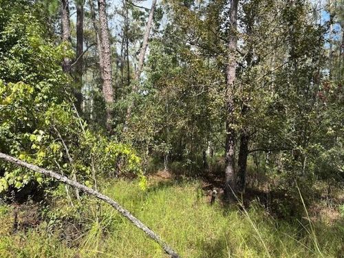 0 County Road 54 E, KATHLEEN, FL, 33849 | Card Image