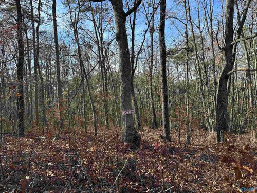 Lot 34 Woodfern Dr, Scottsboro, AL, 35768 | Card Image