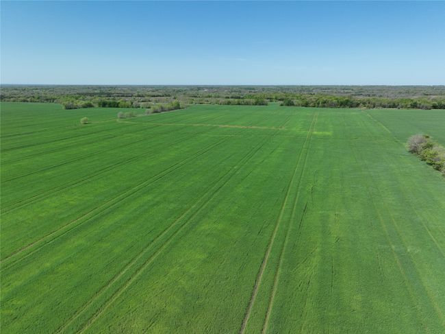 1 County Road 26850, Home with 0 bedrooms, 0 bathrooms and null parking in Petty TX | Image 5
