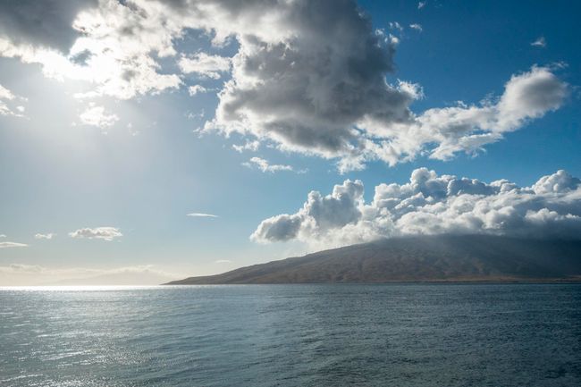 APT-301 - 938 S Kihei Rd, Condo with 1 bedrooms, 1 bathrooms and null parking in Kihei HI | Image 31
