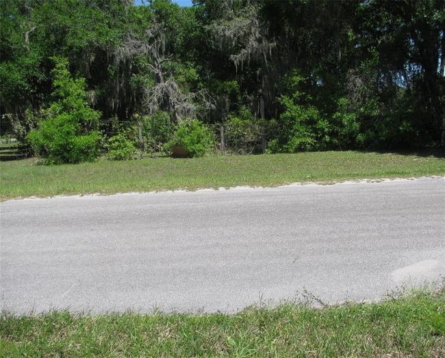 000 Malauka Radial, Home with 0 bedrooms, 0 bathrooms and null parking in Ocklawaha FL | Image 4