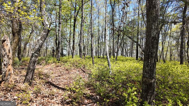 LOT 19 Heyden Ridge Dr, Home with 0 bedrooms, 0 bathrooms and null parking in Clarkesville GA | Image 5