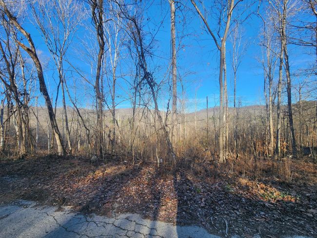 3031 Stephens Dr, Home with 0 bedrooms, 0 bathrooms and null parking in Somerset KY | Image 4