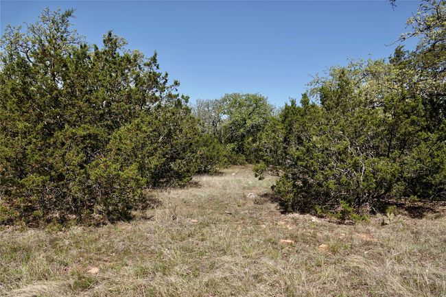 12345 County Road 107, Home with 0 bedrooms, 0 bathrooms and null parking in Mingus TX | Image 5
