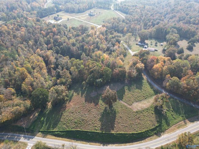 4 Highway 99, Home with 0 bedrooms, 0 bathrooms and null parking in Anderson AL | Image 4