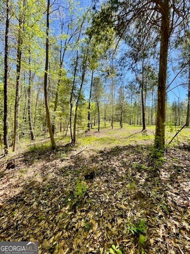 1276 Hornets Bridge Rd, Home with 0 bedrooms, 0 bathrooms and null parking in Elberton GA | Image 22