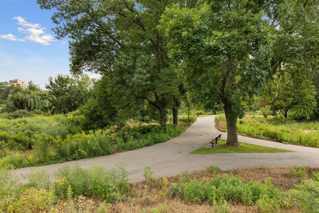 Nearby walking trails | Image 17