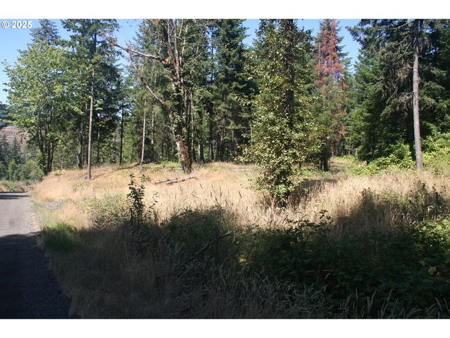 3647 Briar Knob Loop Ne, Home with 0 bedrooms, 0 bathrooms and null parking in Scotts Mills OR | Image 13