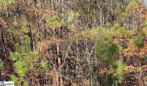 lot-88-and-lot-89-306 & 308 Watersedge Dr, Cross Hill, SC, 29332-4030 | Card Image
