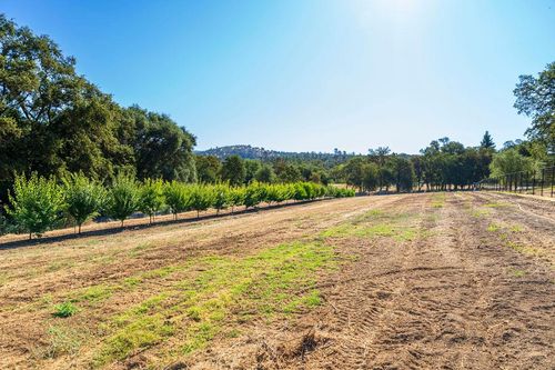 6800 Potts Trl, Browns Valley, CA, 95918-9644 | Card Image