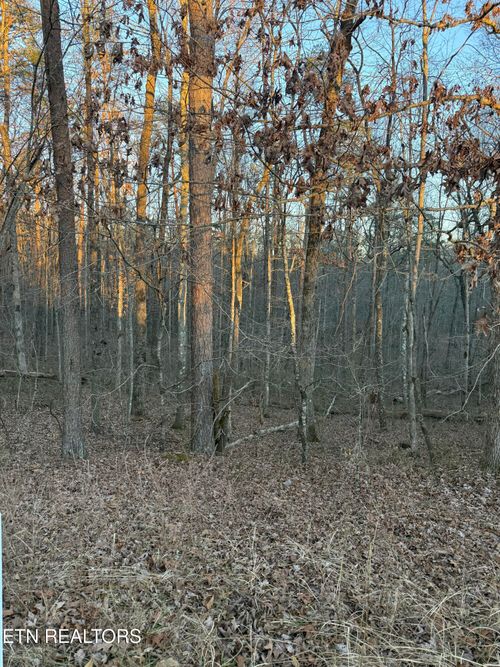 5 Laurel Pl, Monterey, TN, 38574-7205 | Card Image