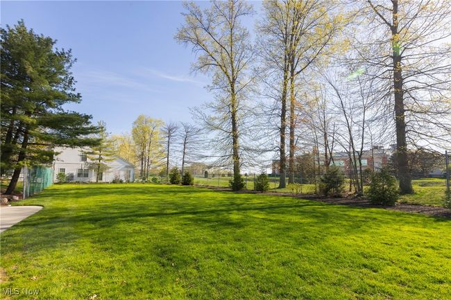 So much green space in the common area! | Image 39
