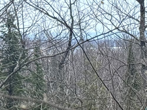 36807 County Highway J, Bayfield, WI, 54814-4722 | Card Image